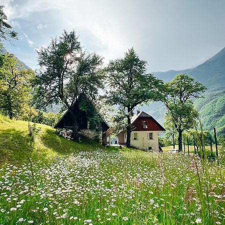 Apartments Mala Korita Soce Soča Dış mekan fotoğraf