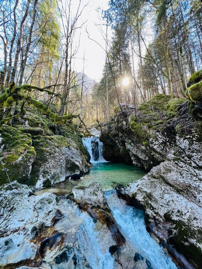 Apartments Mala Korita Soce Soča Dış mekan fotoğraf