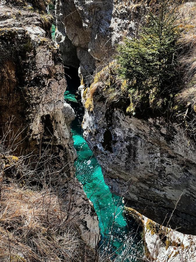 Apartments Mala Korita Soce Soča Dış mekan fotoğraf