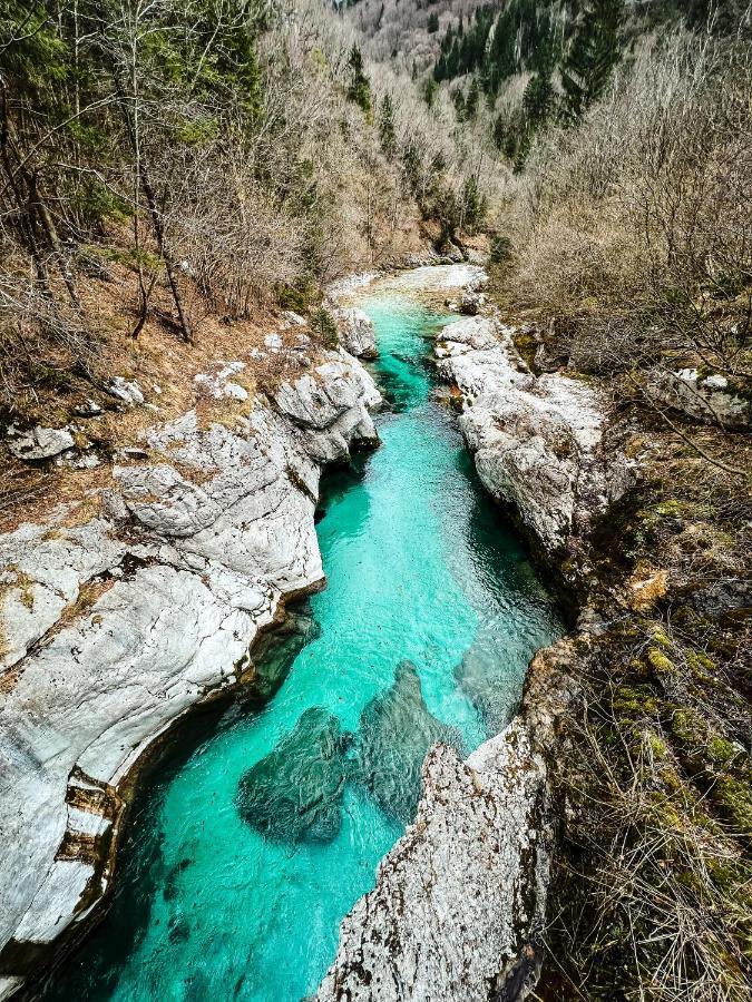 Apartments Mala Korita Soce Soča Dış mekan fotoğraf