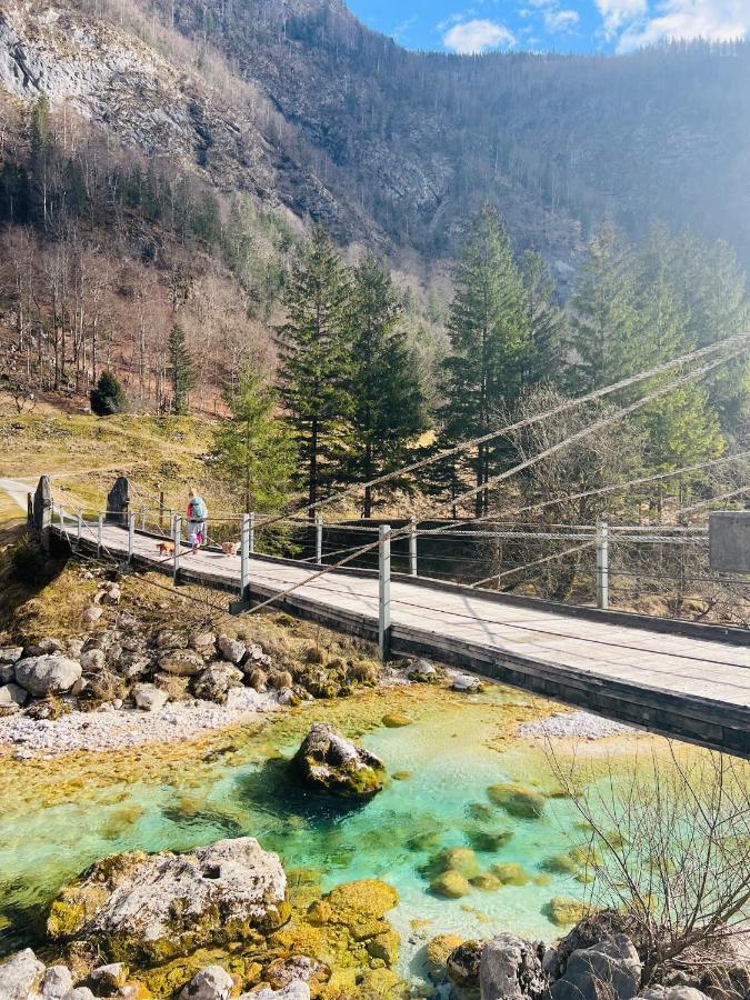 Apartments Mala Korita Soce Soča Dış mekan fotoğraf