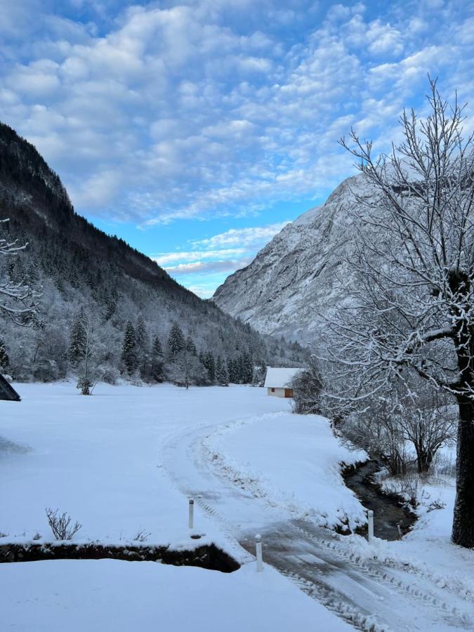 Apartments Mala Korita Soce Soča Dış mekan fotoğraf