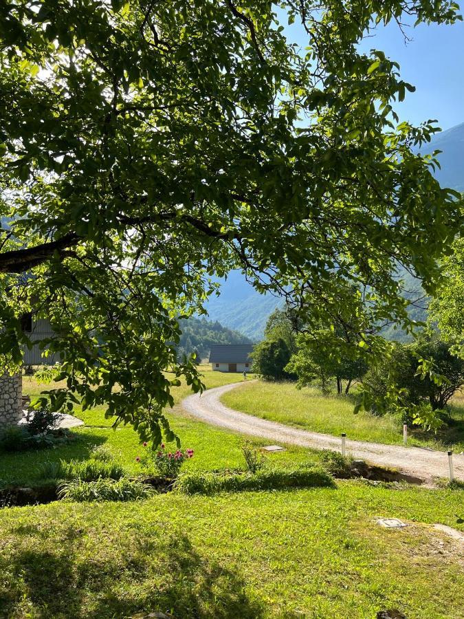 Apartments Mala Korita Soce Soča Dış mekan fotoğraf