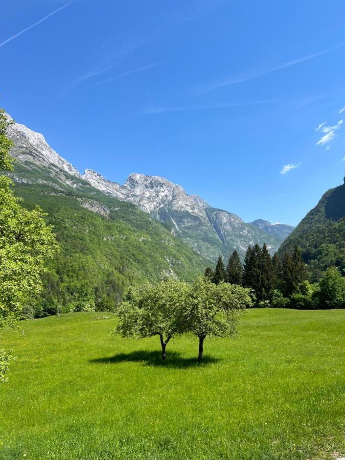 Apartments Mala Korita Soce Soča Dış mekan fotoğraf