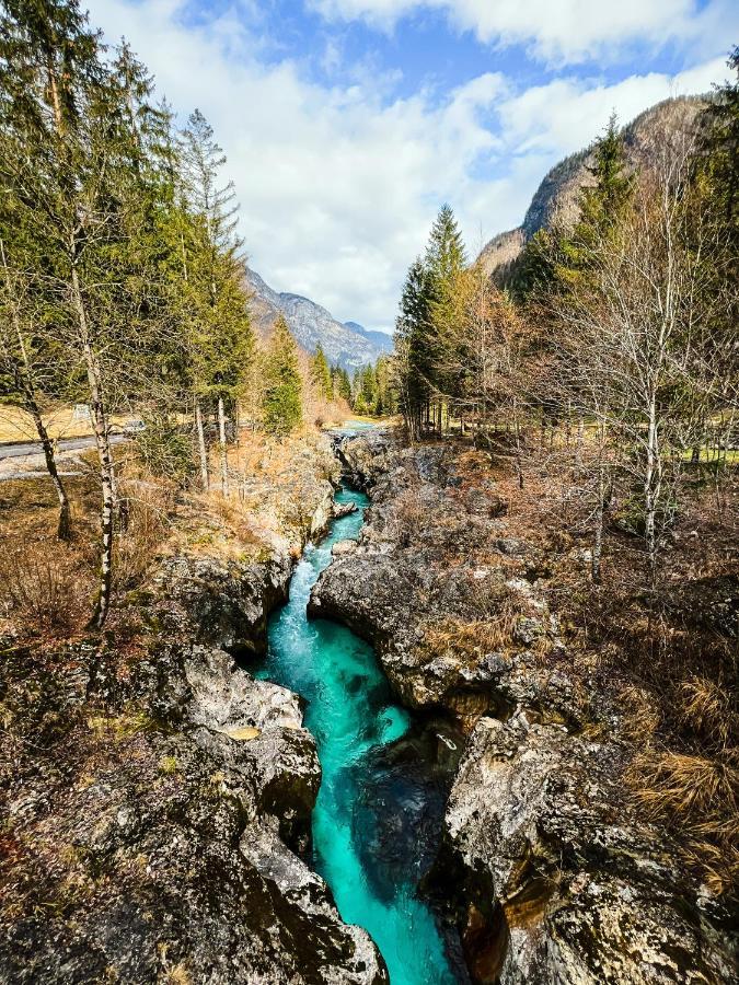 Apartments Mala Korita Soce Soča Dış mekan fotoğraf