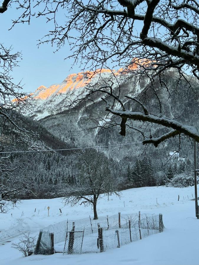 Apartments Mala Korita Soce Soča Dış mekan fotoğraf