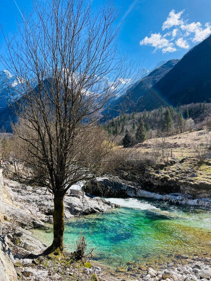 Apartments Mala Korita Soce Soča Dış mekan fotoğraf