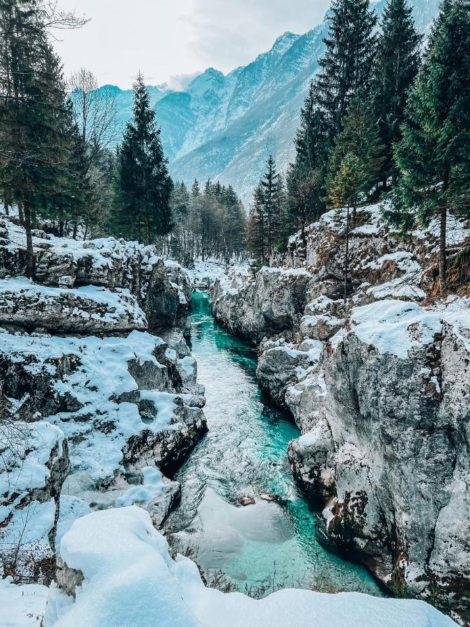 Apartments Mala Korita Soce Soča Dış mekan fotoğraf