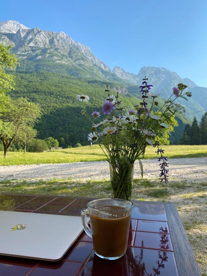 Apartments Mala Korita Soce Soča Dış mekan fotoğraf