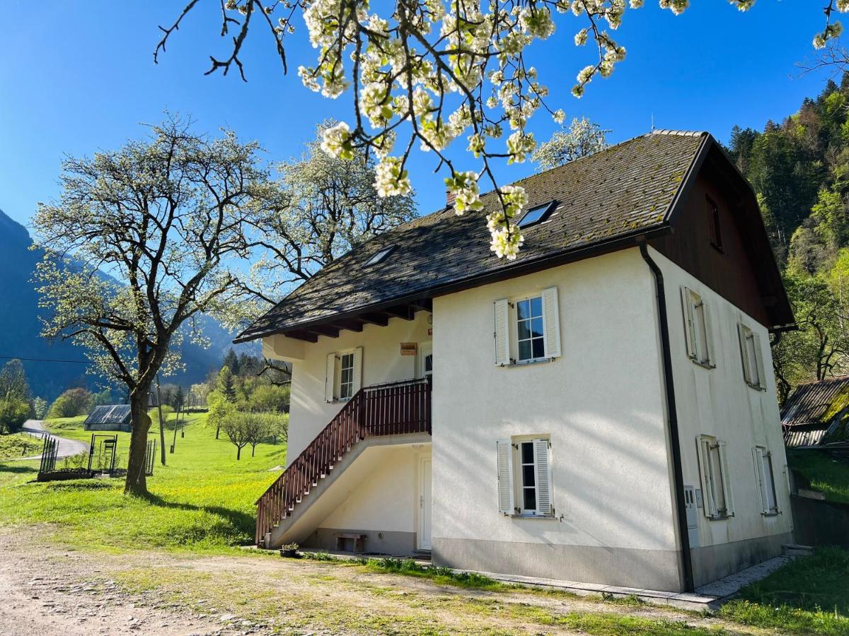 Apartments Mala Korita Soce Soča Dış mekan fotoğraf