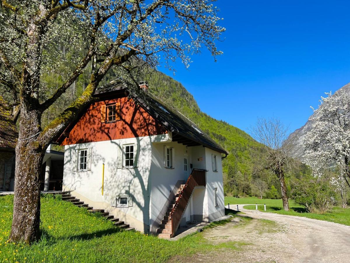 Apartments Mala Korita Soce Soča Dış mekan fotoğraf