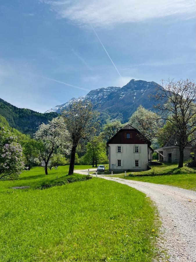 Apartments Mala Korita Soce Soča Dış mekan fotoğraf