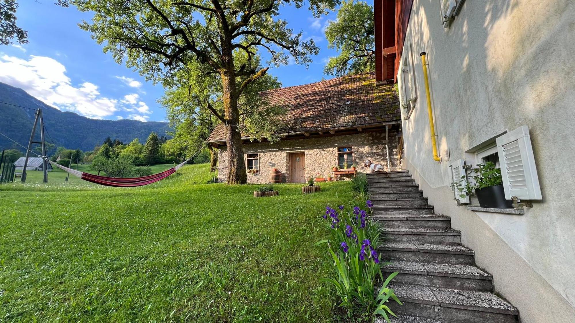 Apartments Mala Korita Soce Soča Dış mekan fotoğraf