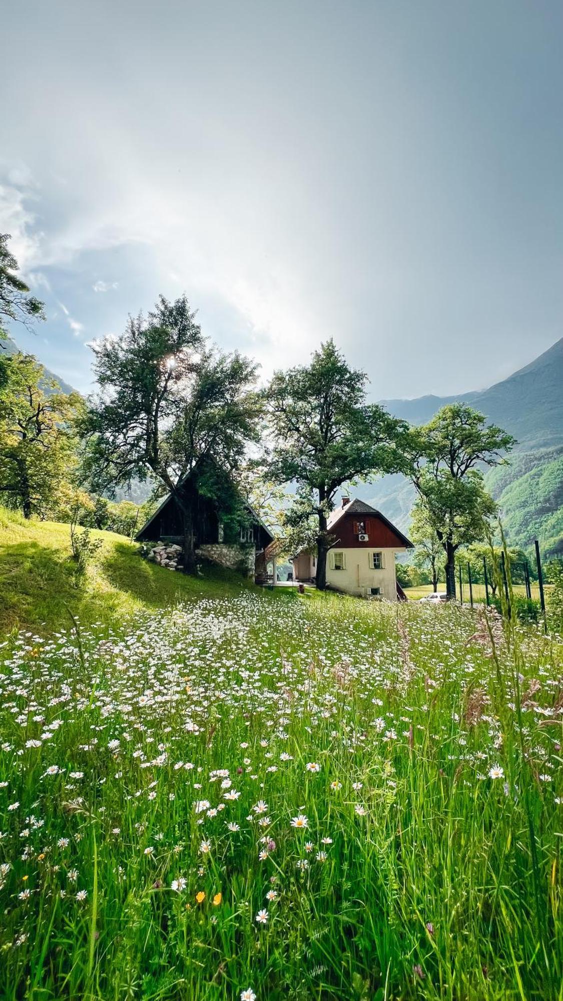 Apartments Mala Korita Soce Soča Dış mekan fotoğraf