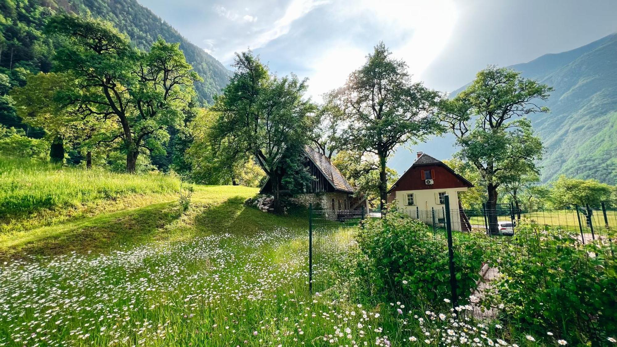 Apartments Mala Korita Soce Soča Dış mekan fotoğraf