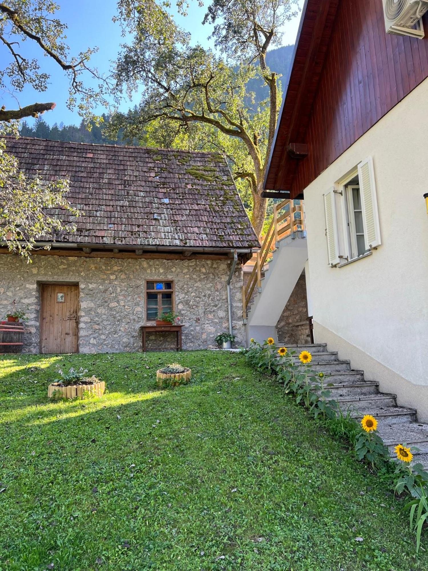 Apartments Mala Korita Soce Soča Dış mekan fotoğraf