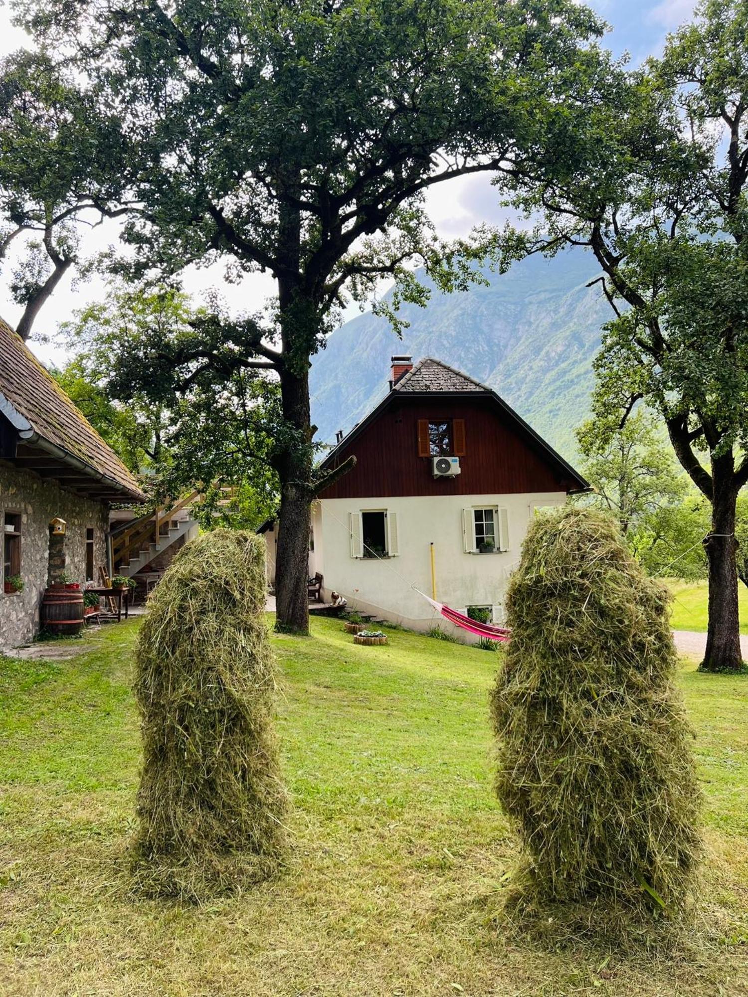 Apartments Mala Korita Soce Soča Dış mekan fotoğraf