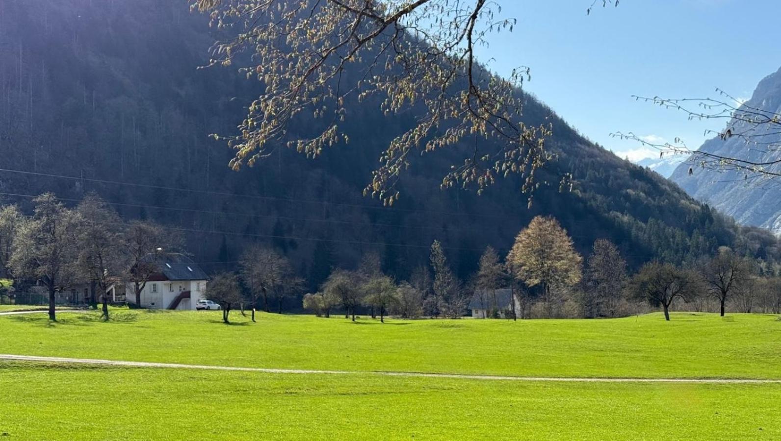 Apartments Mala Korita Soce Soča Dış mekan fotoğraf