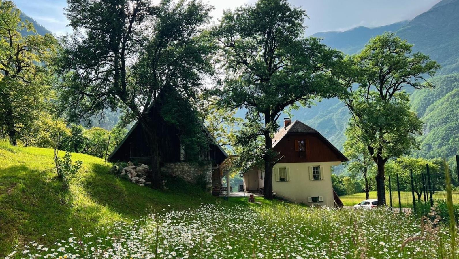 Apartments Mala Korita Soce Soča Dış mekan fotoğraf