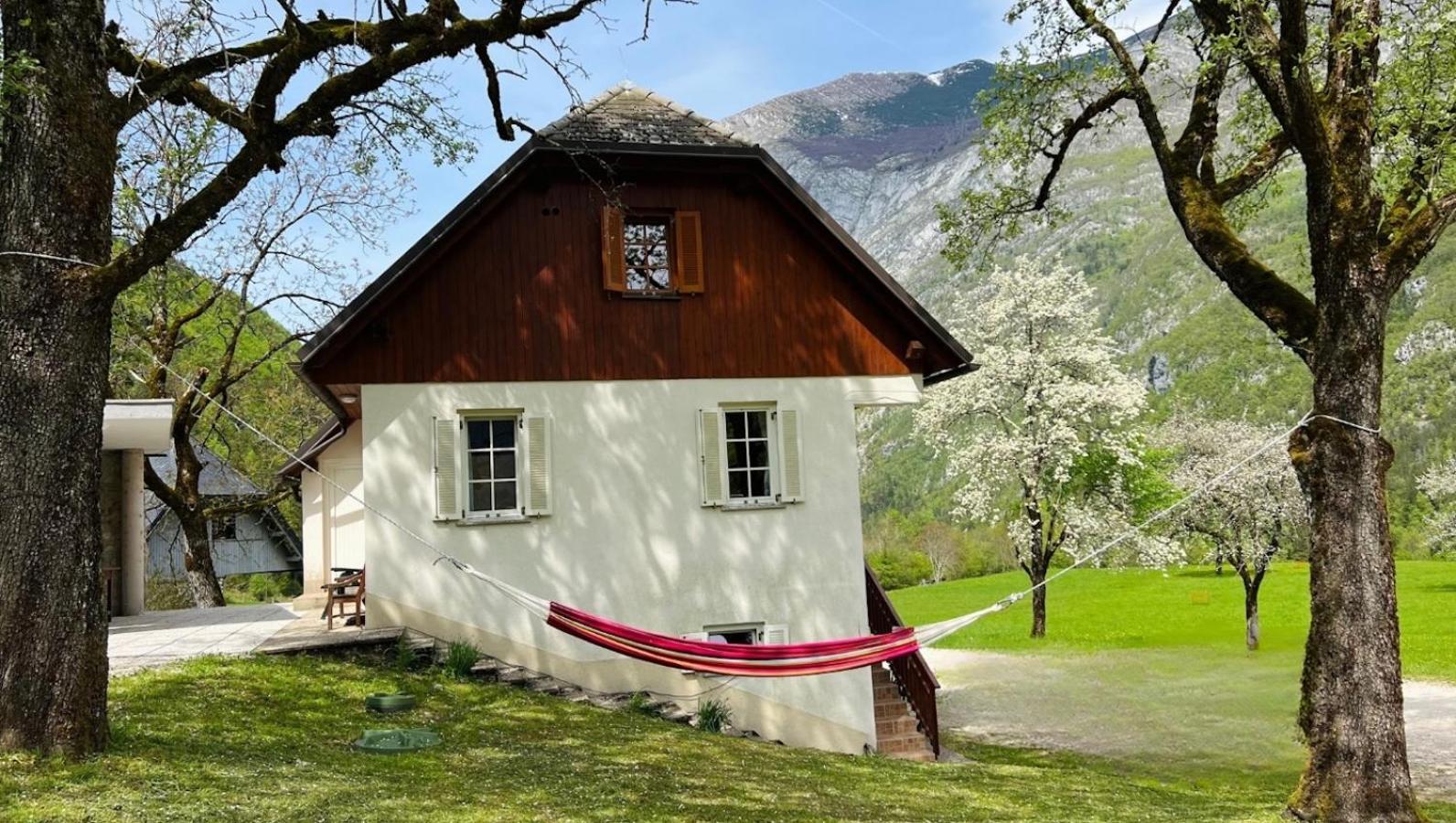 Apartments Mala Korita Soce Soča Dış mekan fotoğraf